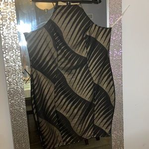 Women’s Black and Tan Mini  Dress